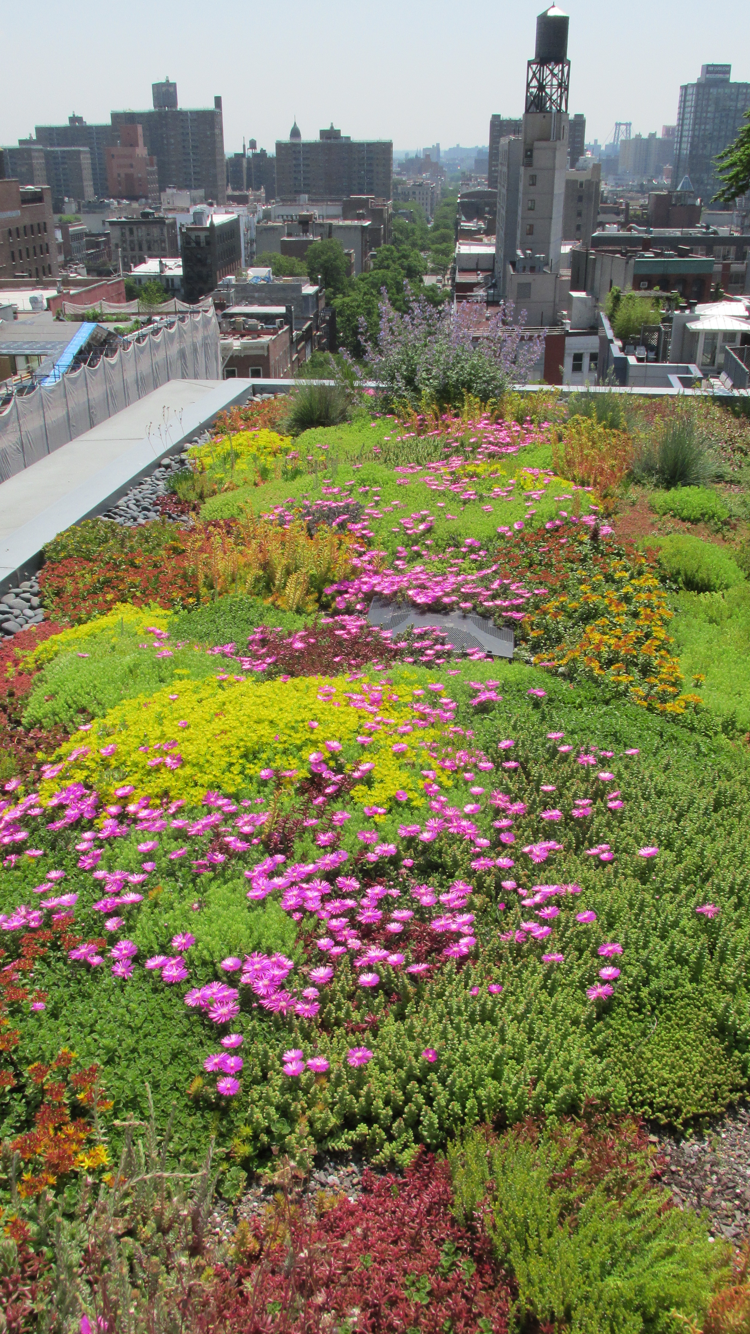 41 Bond | Future Green Studio-13