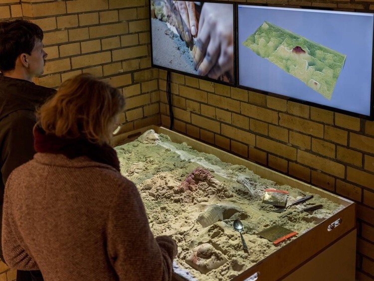 “改变我们的足迹”展览丨德国柏林丨Henning Larsen-9