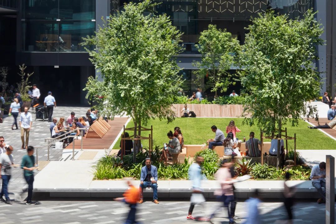 悉尼 Westpac Place 更新丨澳大利亚悉尼丨ASPECT Studios-8