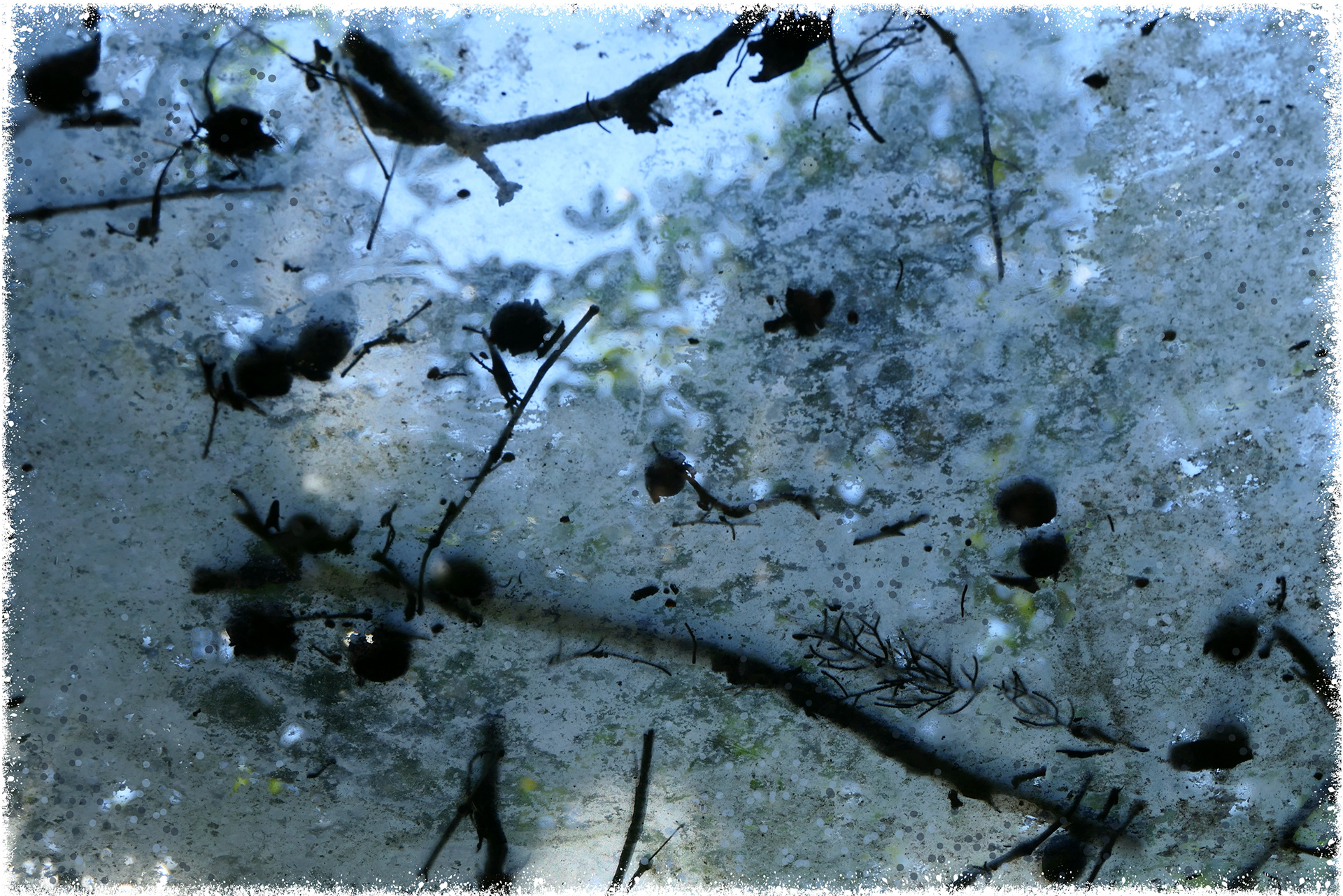 Old Greenhouse-14