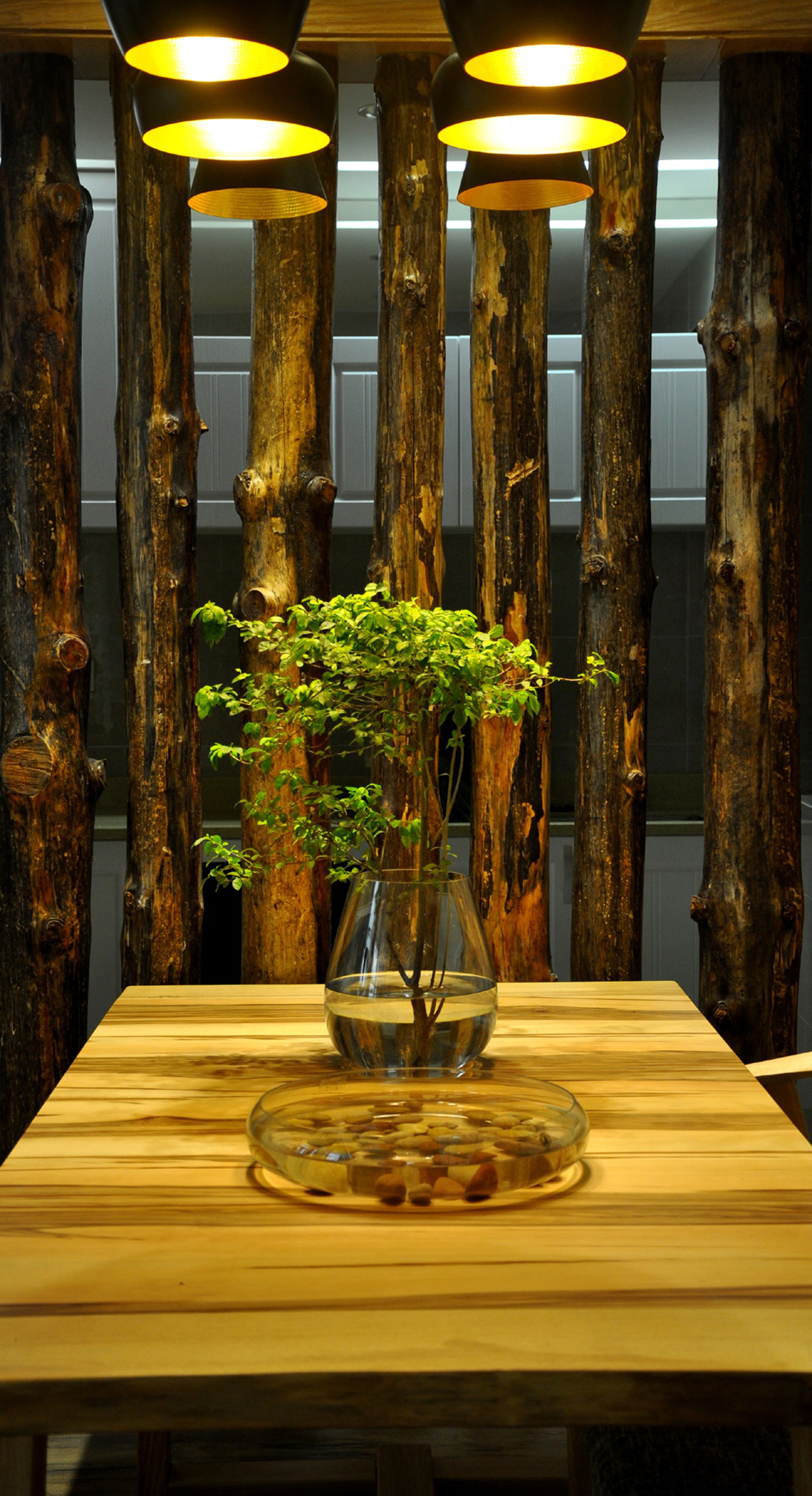 家有栖木,倚墙而生-32