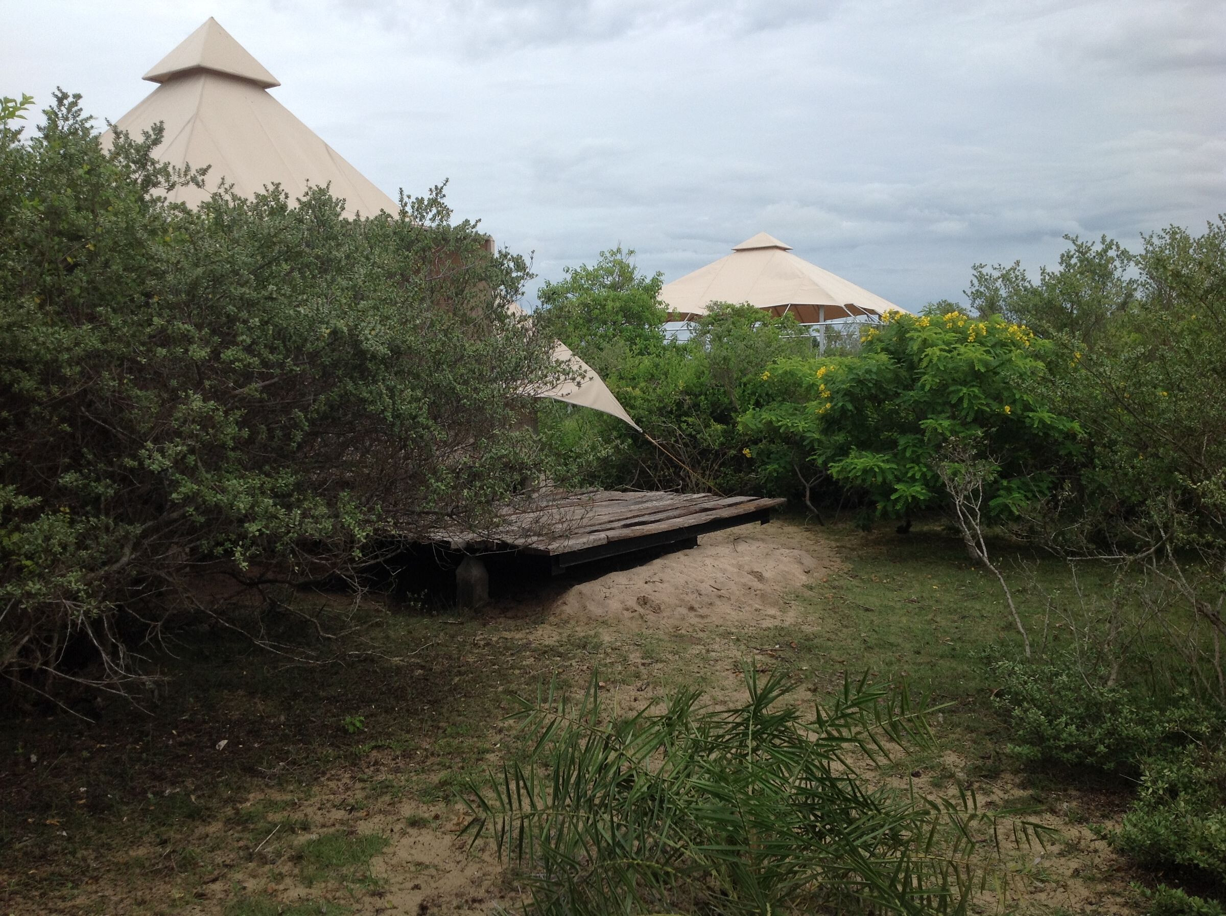 生态奢华，融入自然的帐篷营地-30