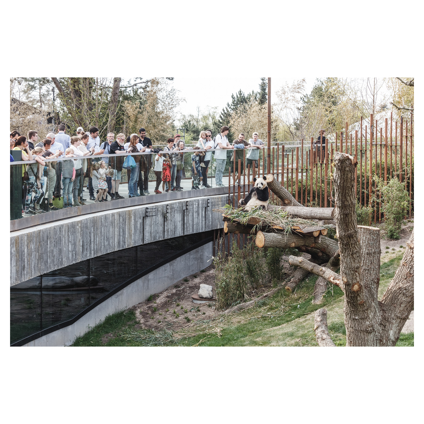 Anastasiya Gushchina丨公园丨P A N D A H O U S E-5