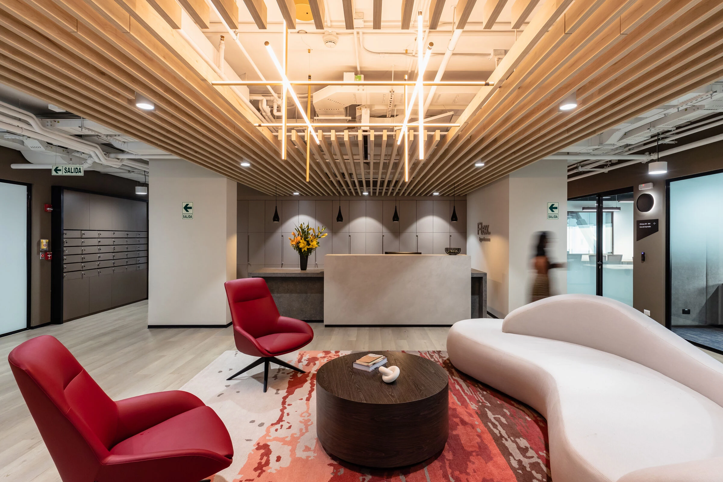 弗勒·比于尔巴诺娃丨秘鲁利马丨DRRP Spaces-20