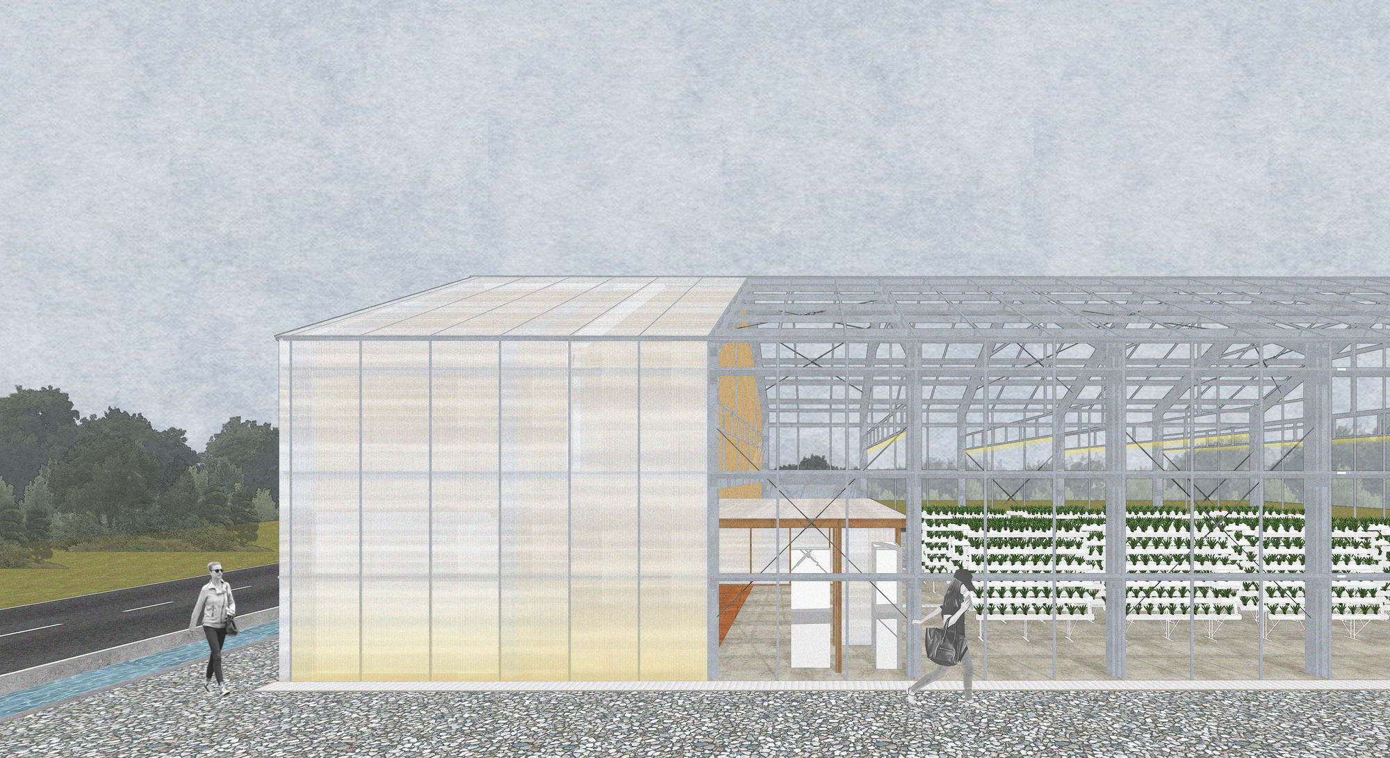 Glass House Laboratory / STAY Architects-44