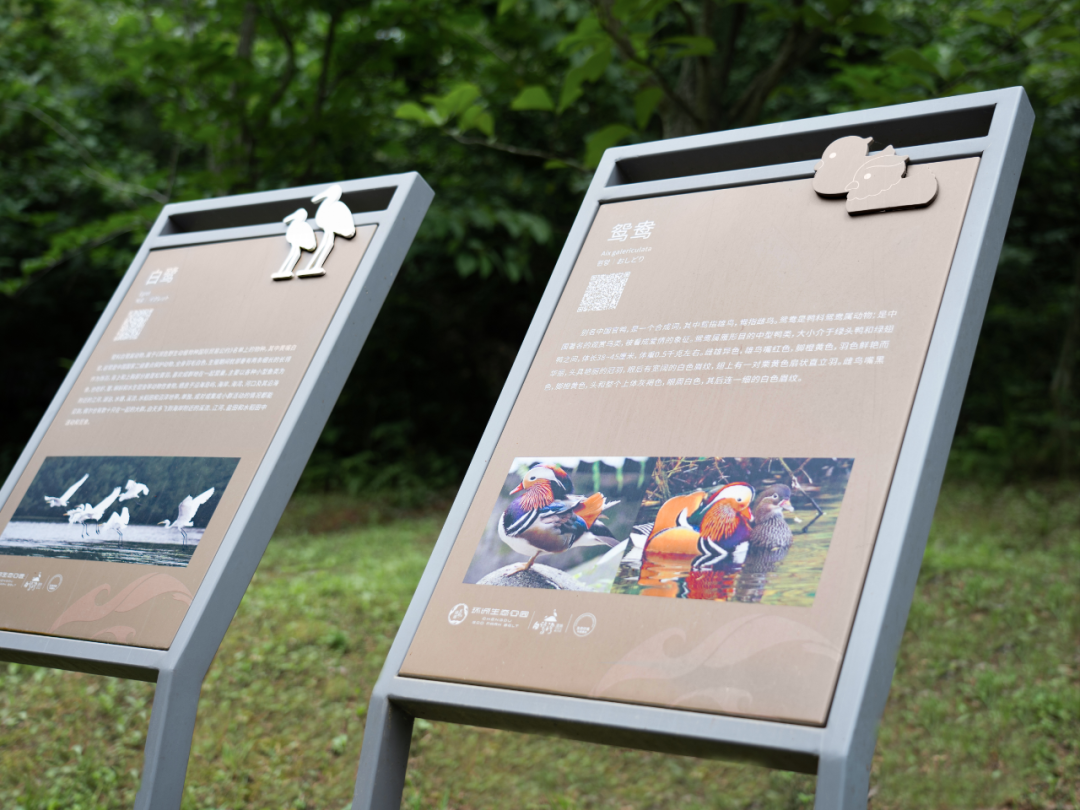 白鹭湾湿地公园自然探索基地丨中国成都丨上海柏熙标识有限公司-20