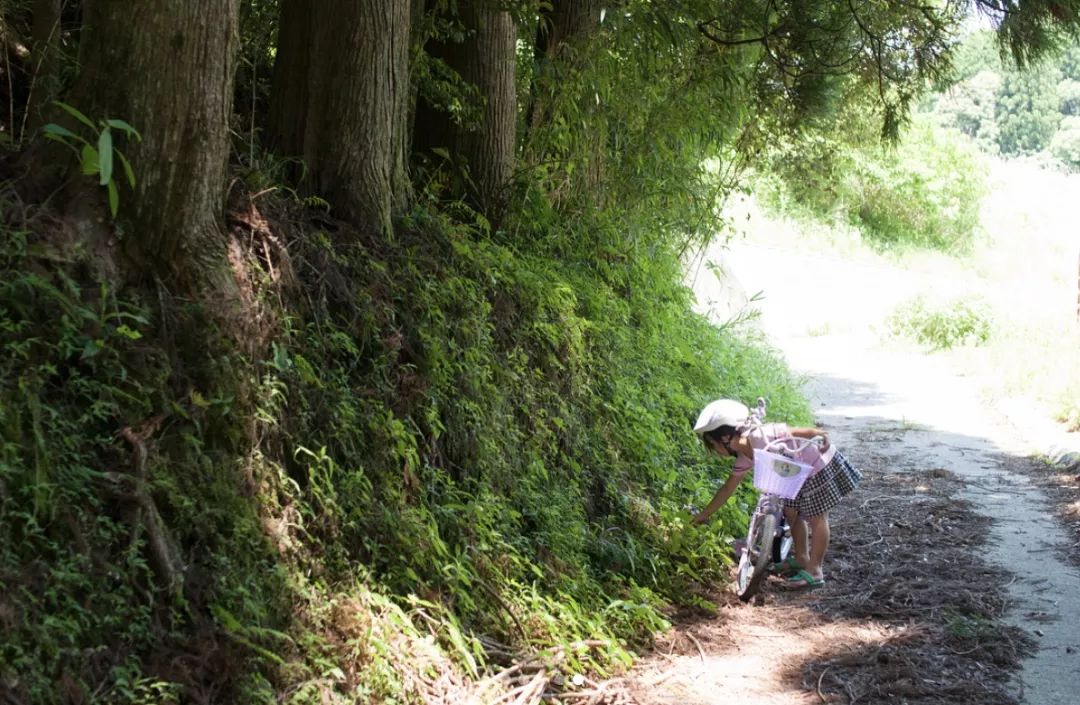 乡间童话 | 一家五口的美满生活-105