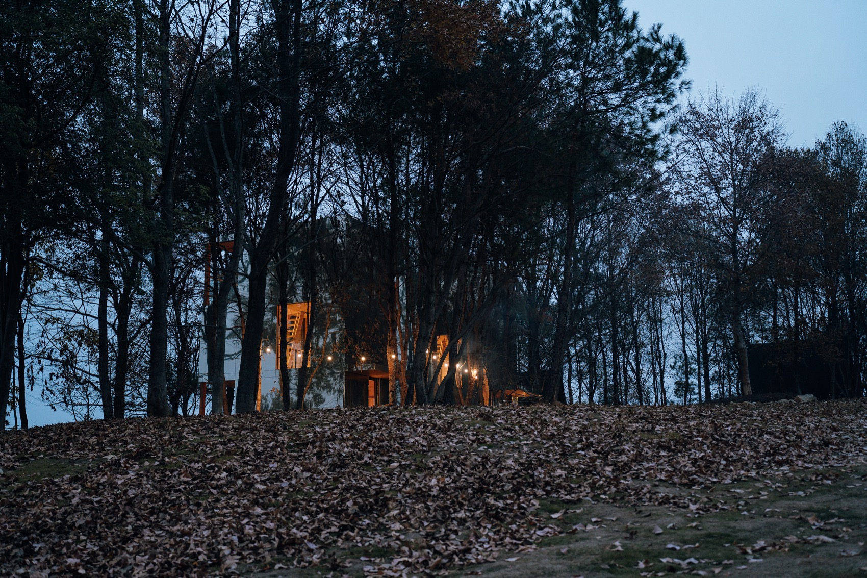 个个世界[荒野之家 #115#] 长颈鹿之家丨中国武汉丨个个世界 Wiki World()+先进建筑实验室AaL-63