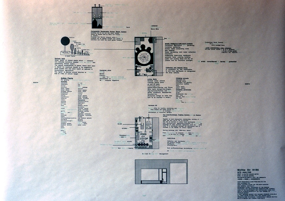 小众 · 阴郁花园丨德国科隆-6