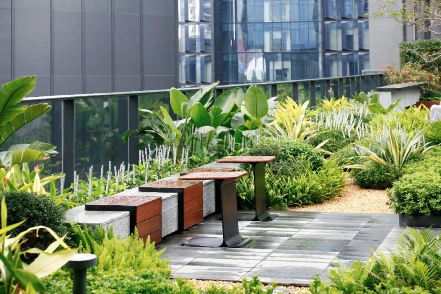 南山中集太子湾大成广场园林景观工程丨中国深圳-1