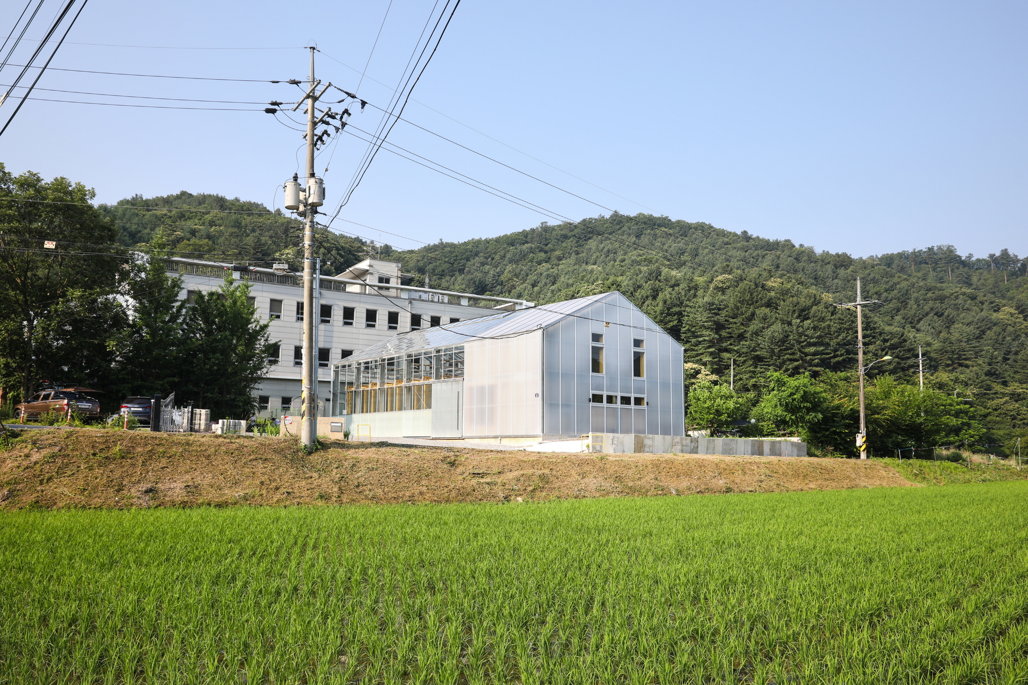 Glass House Laboratory / STAY Architects-39