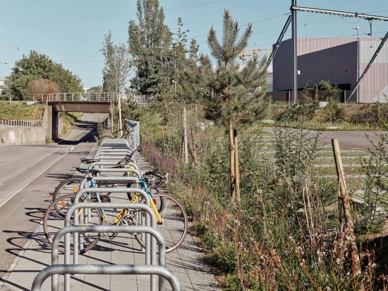 公园(的)关闭丨瑞士丨FORSTERPAYSAGE-11