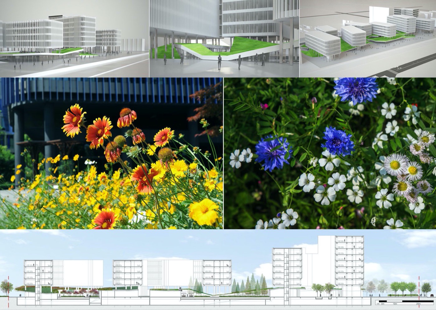 上海创新聚集地 | 天地区域 1 号-31