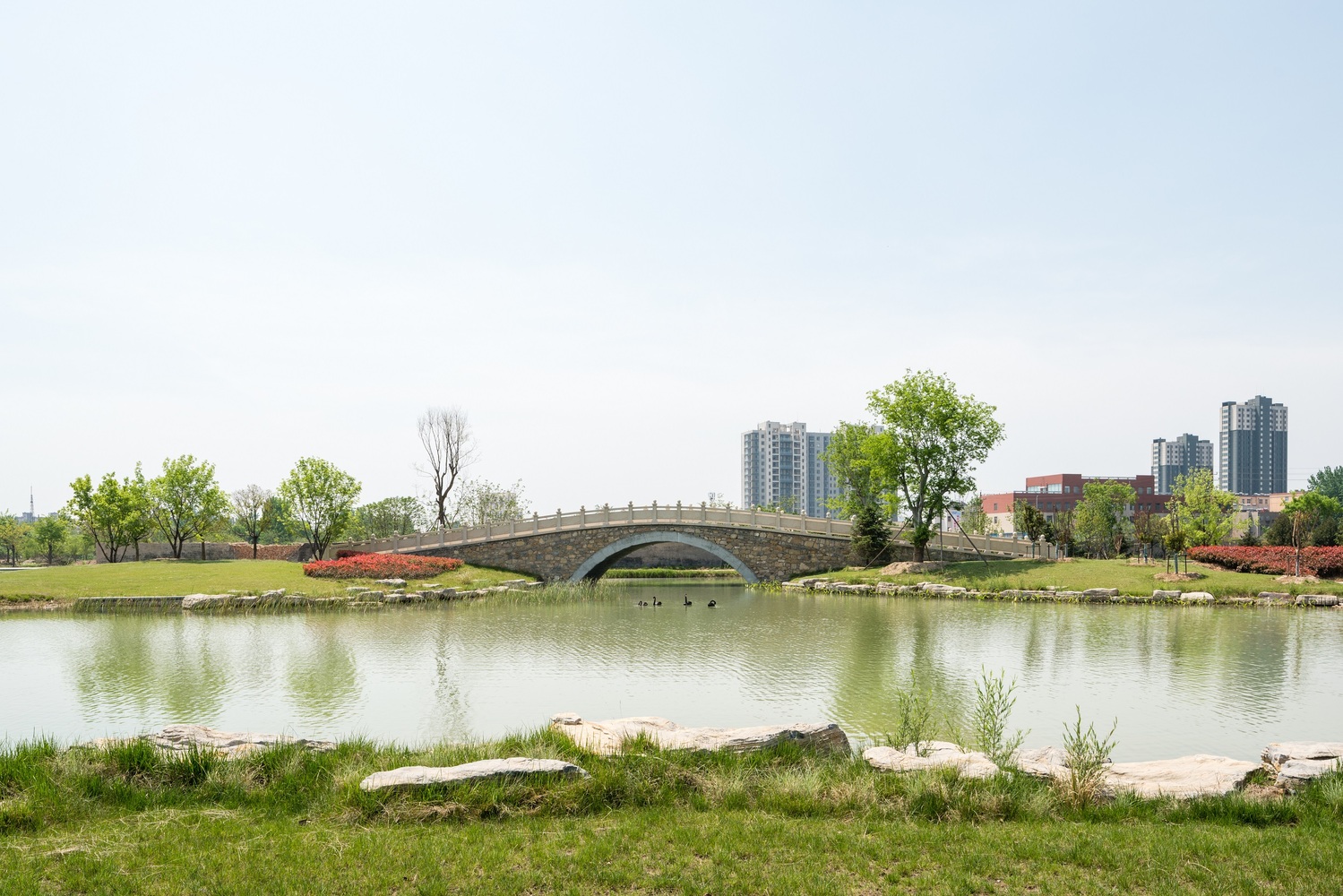 DEEJ Factory  5+design-79