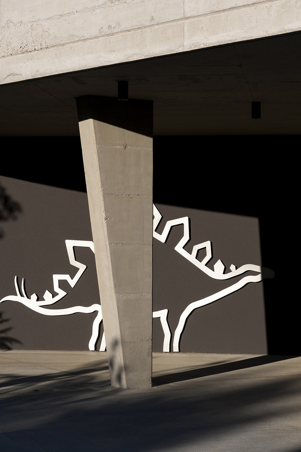 克罗地亚 Paleo 恐龙遗迹公园丨NFO-33