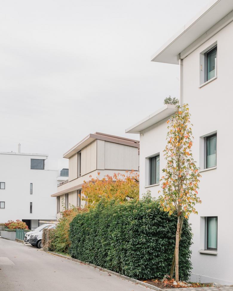 Zugerberg 住宅丨瑞士丨RUDAZ ARCHITEKTEN-15