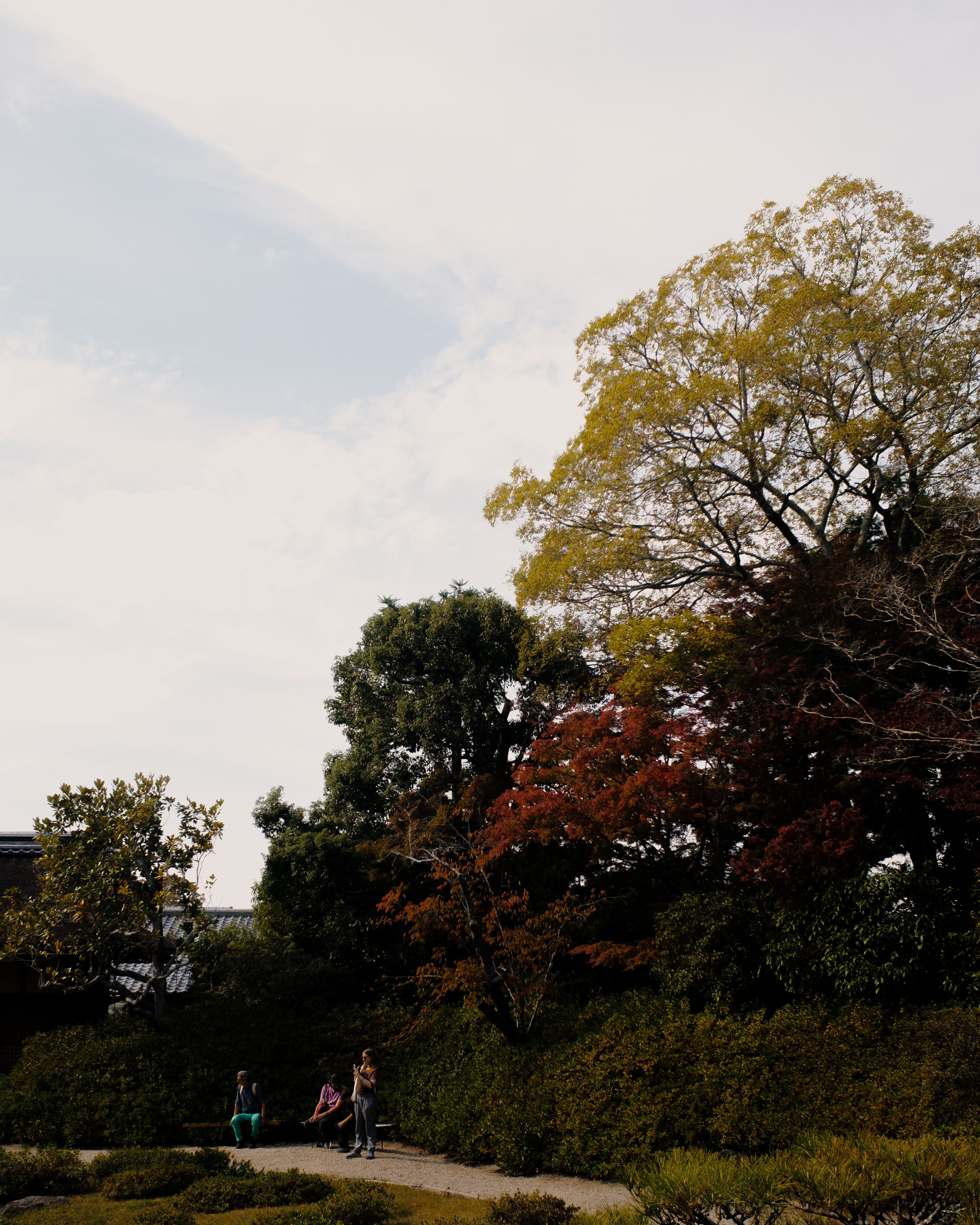 Yosuien 室内设计丨日本奈良-20