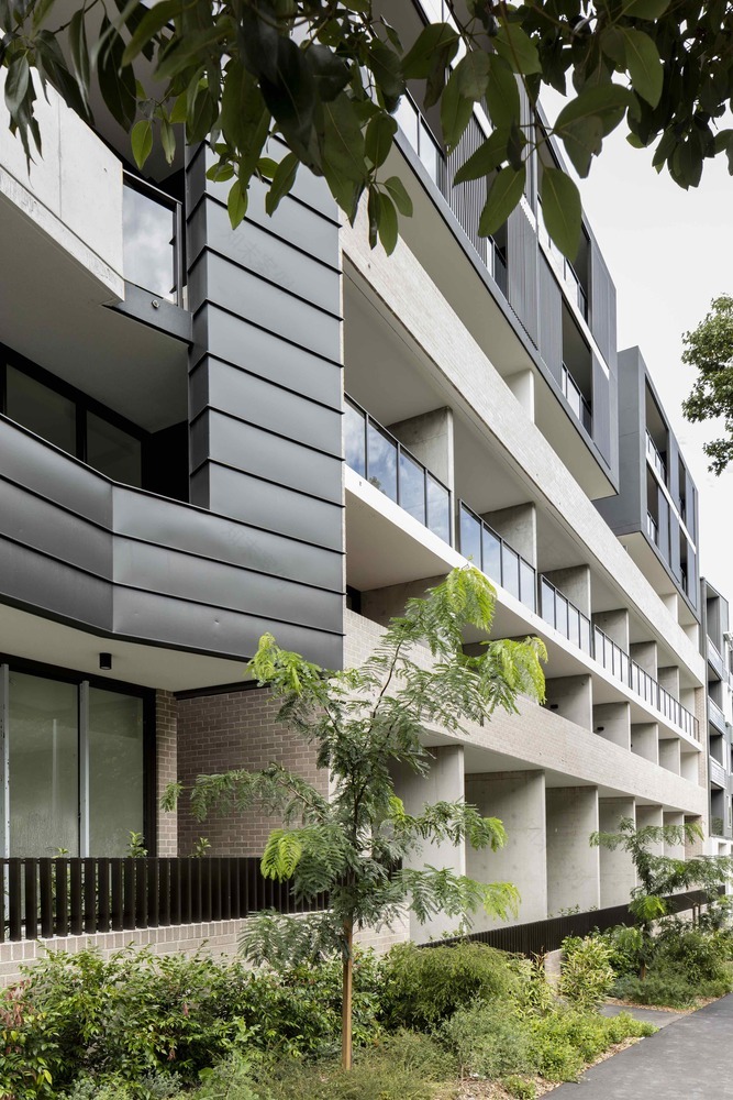 Wellington on the Park Fox Johnston-63