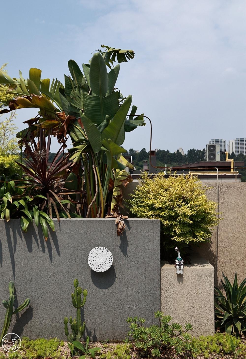 不听劝入手顶楼复式，直接get梦中情房-73