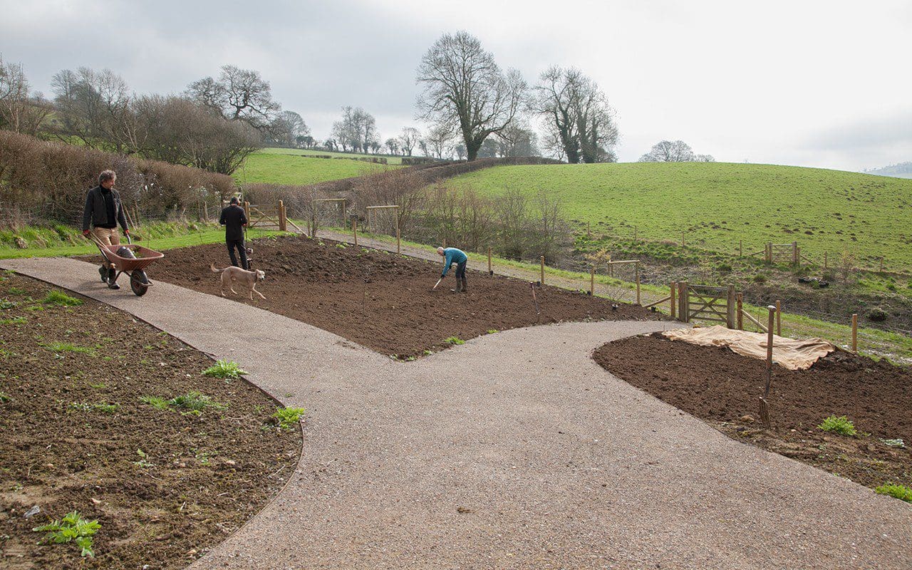 新花园种植项目丨Dan Pearson-6