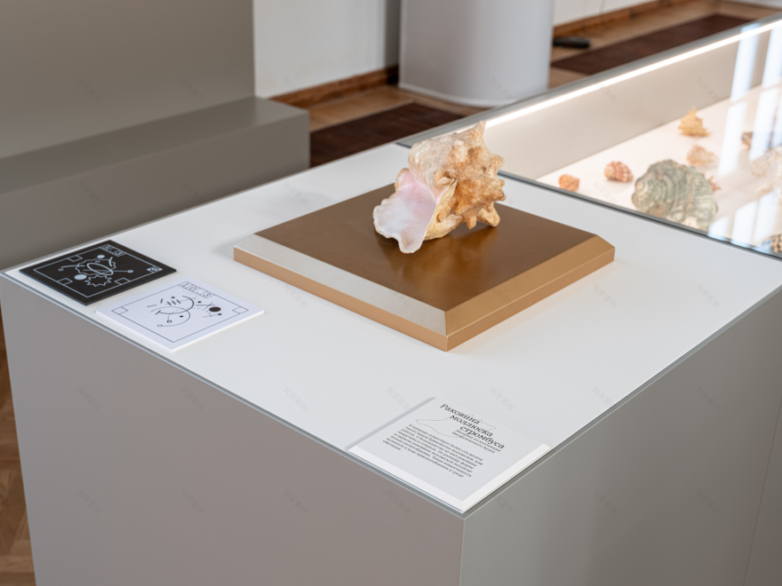 12 Signs of the Life 展览丨Holystick-17