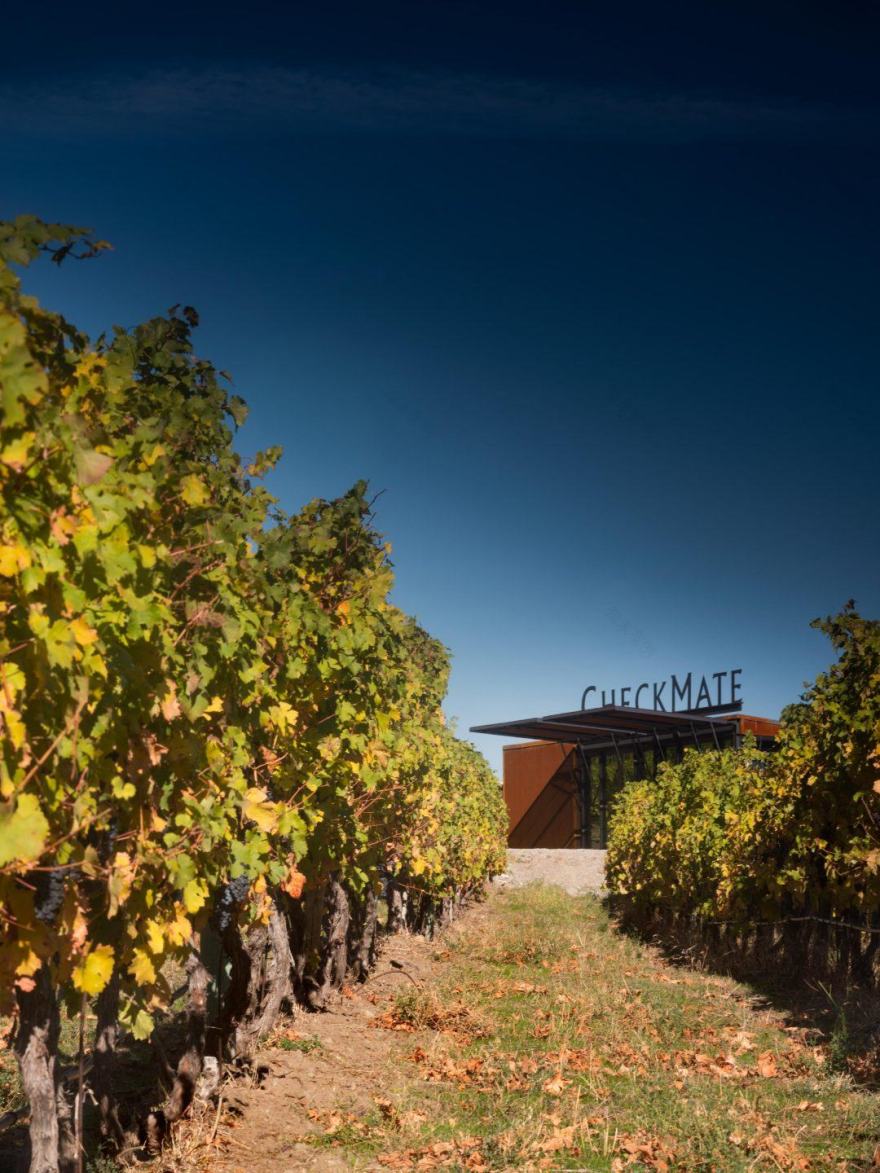 CheckMate Winery Pop‑Up Olson Kundig Architects-3