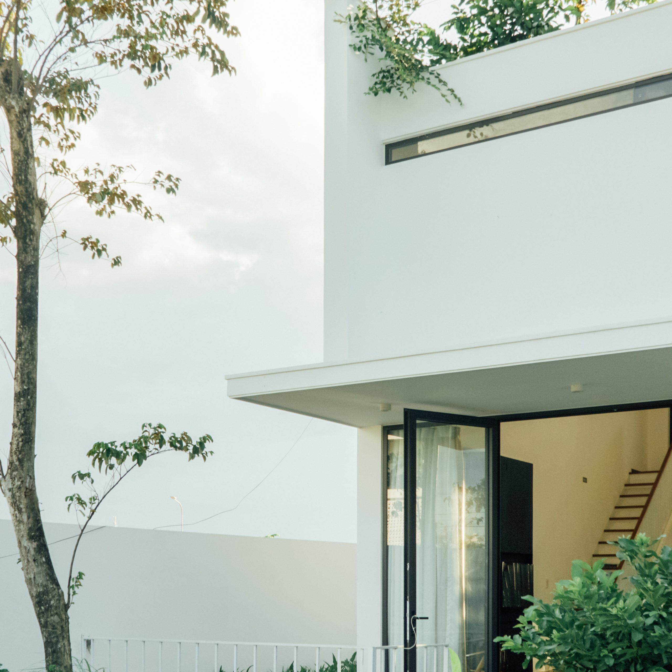 绿意盎然的四口之家-20