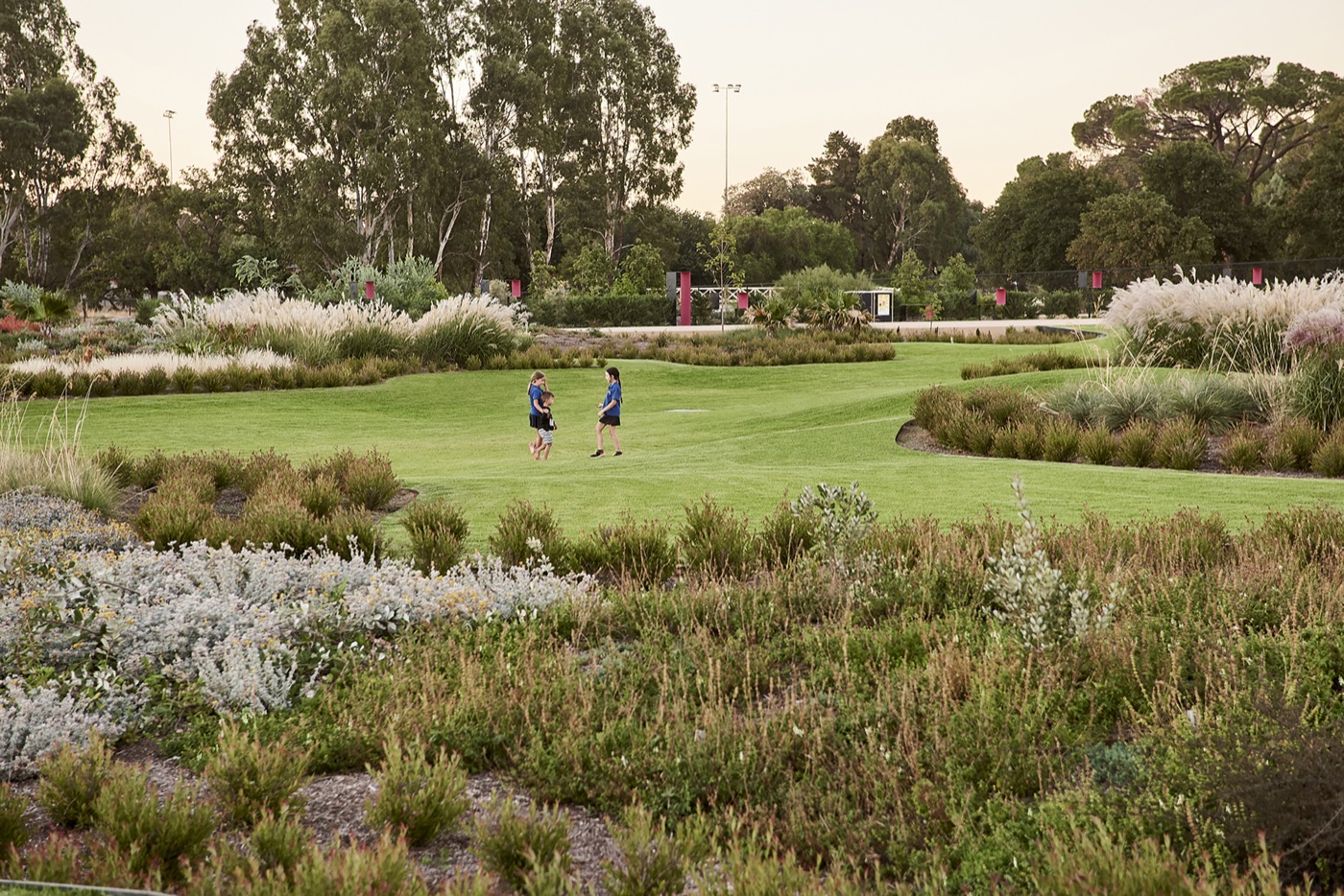 未来花园丨澳大利亚丨泰勒·卡利尔景观设计事务所-18