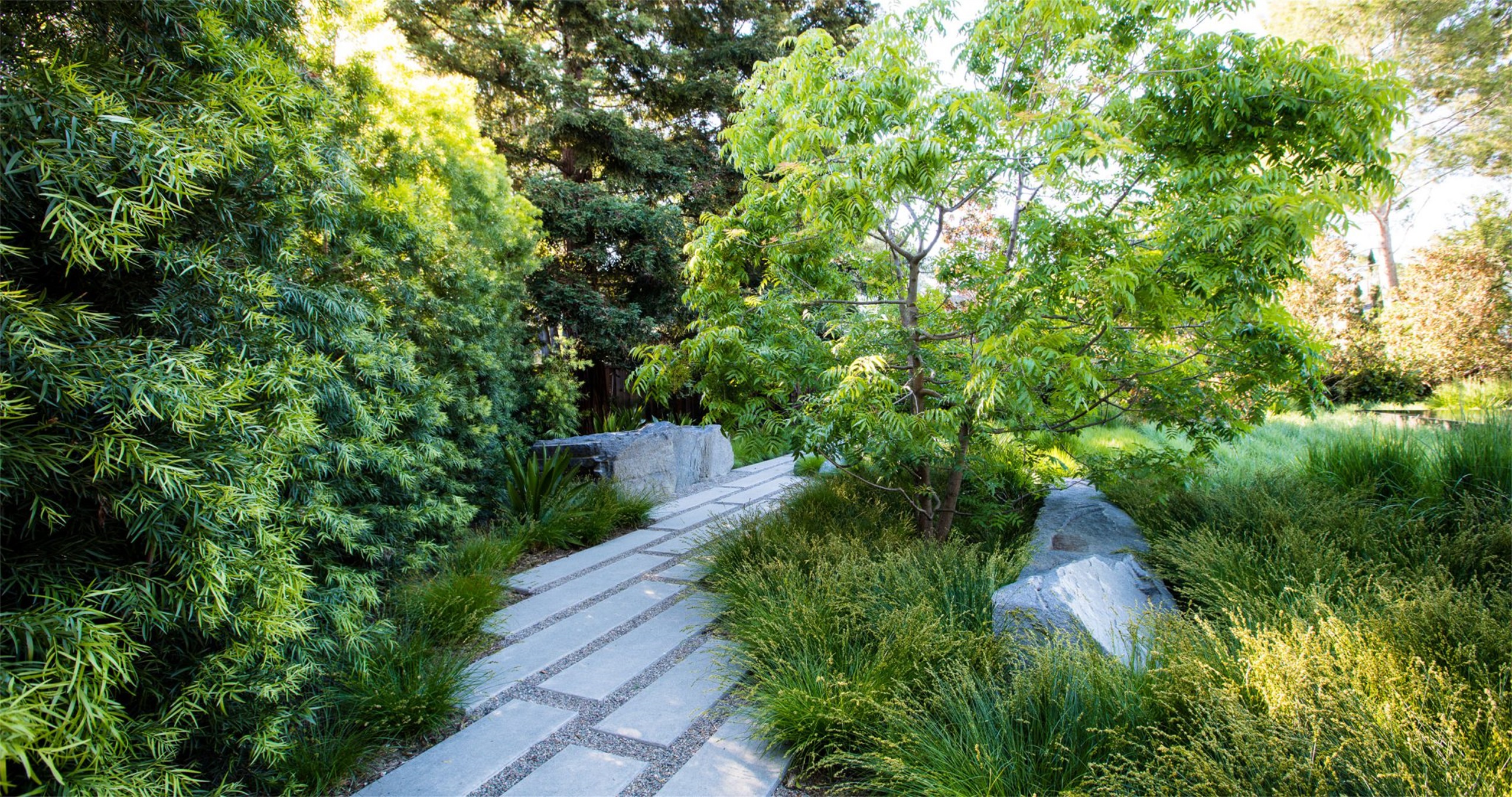 自然生长 · 私宅景观丨美国加利福尼亚-118