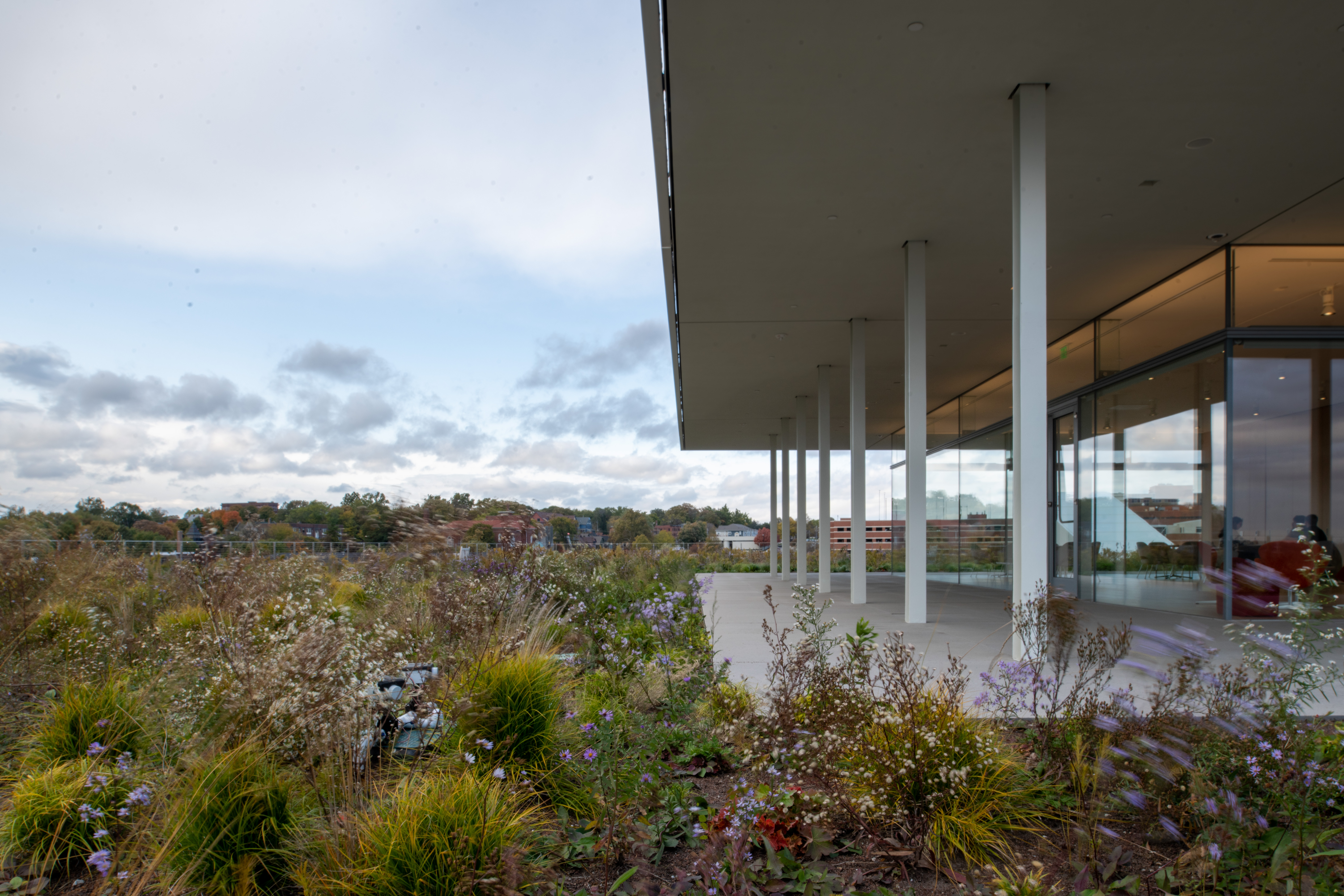 梦幻联动 | Renzo Piano 与 OPN Architects 的 Krause Gateway Center-31