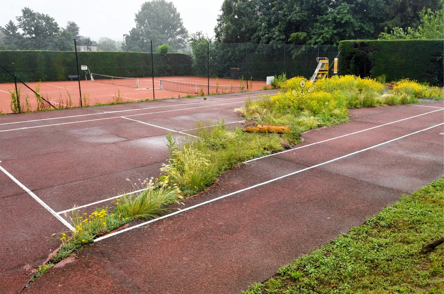 比利时裂缝景观-8