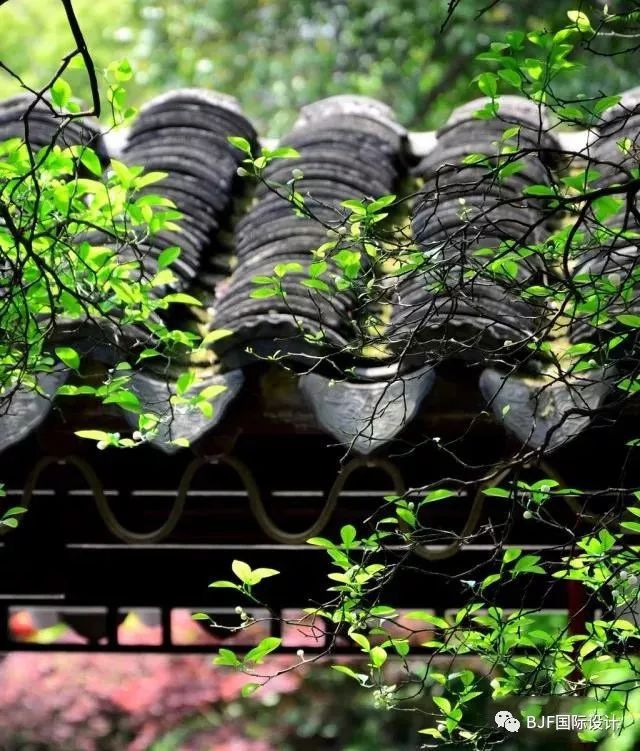 青瓦创新应用 | 传统元素的现代魅力-1