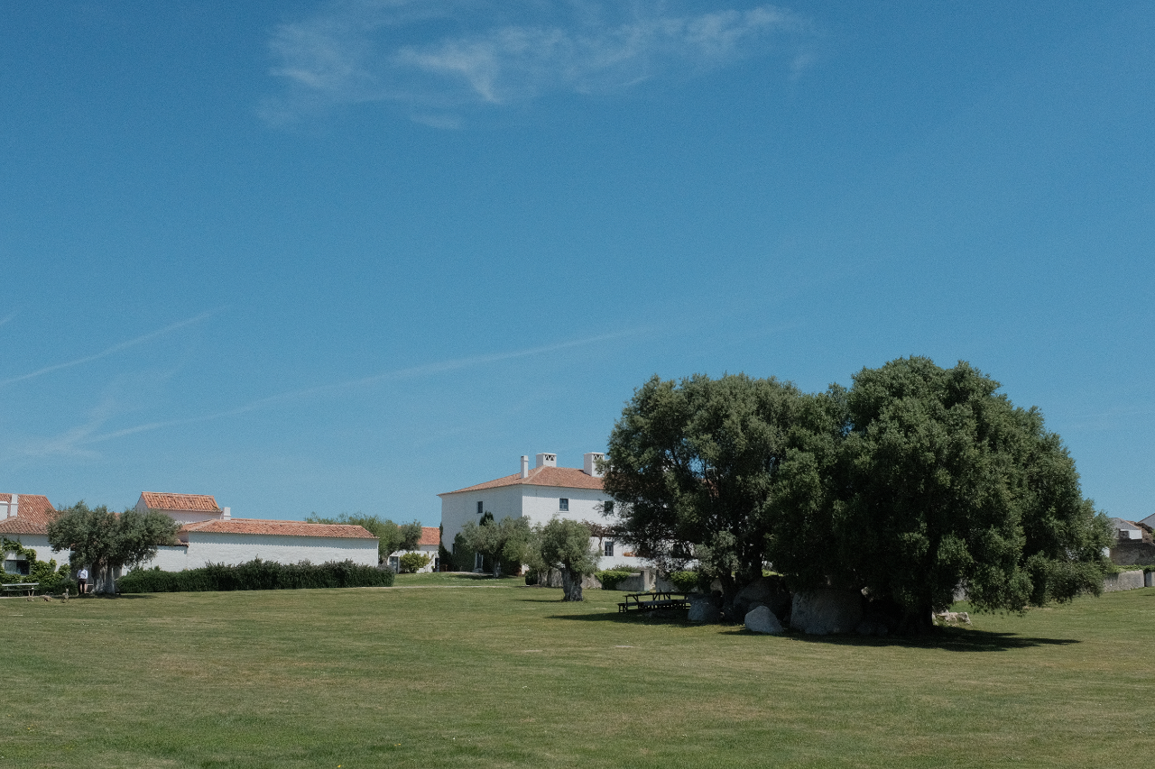 São Lourenço do Barrocal庄园丨葡萄牙丨Eduardo Souto de Moura-13