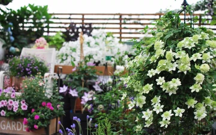 她在楼顶悄悄建了一座梦想花园，美翻了！这才是把日子过成诗的样子-8