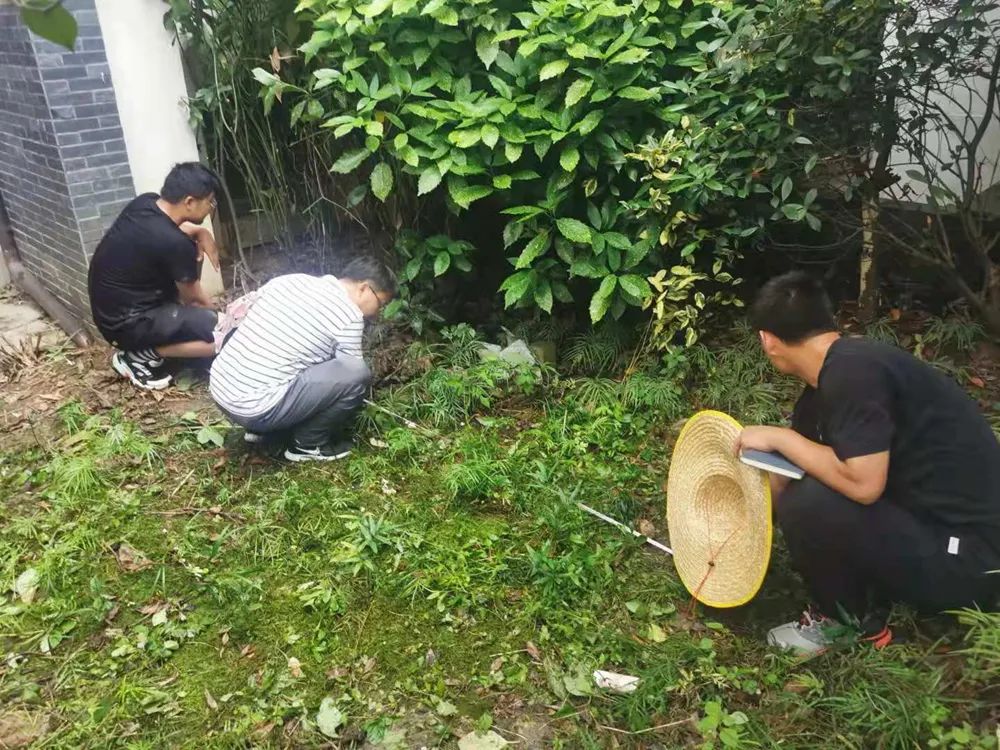 日式庭院营造系统班丨中国杭州丨草月流景观联合花园集-21