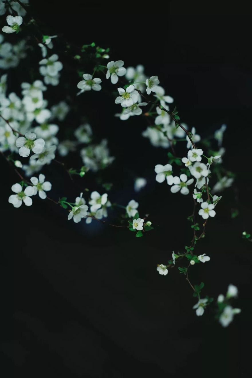 忙中静趣 | 领略生活的美好-36