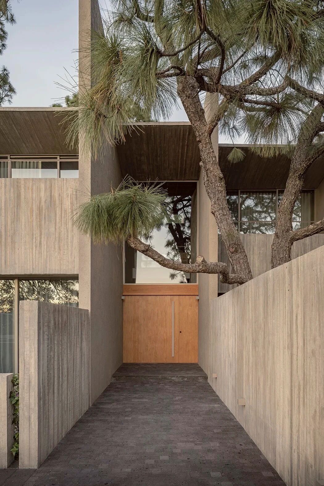 COA Arquitectura,森林庇护所丨墨西哥-13