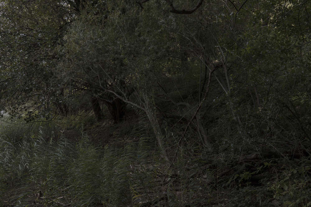 瓦利斯三年展

注：Triennale常见指三年展，Valis不太明确其具体含义，如果它是特定人名、地名、品牌名等，需结合具体背景确定更合适的译法，这里暂按字面音译处理 丨瑞士-22