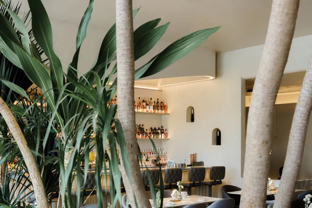 TARENTUM 萄木·Café BAR丨中国深圳丨RBD DESIGN BOX-38