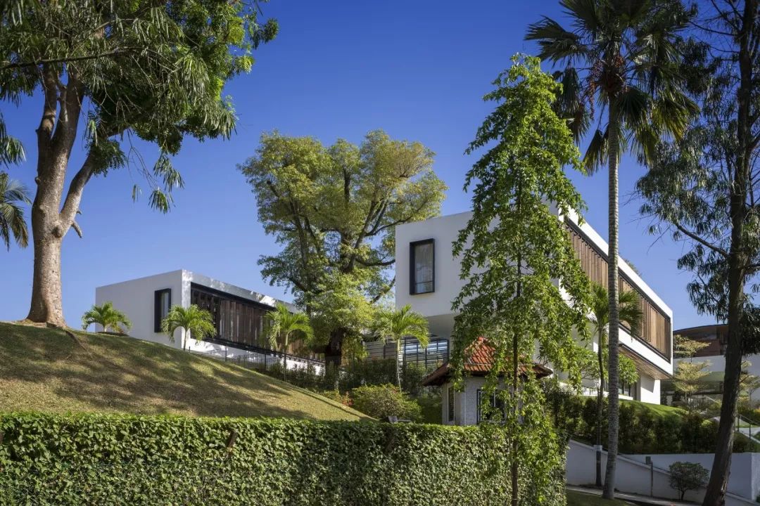 wallflower | 从平凡生活中发现美的设计理念-65