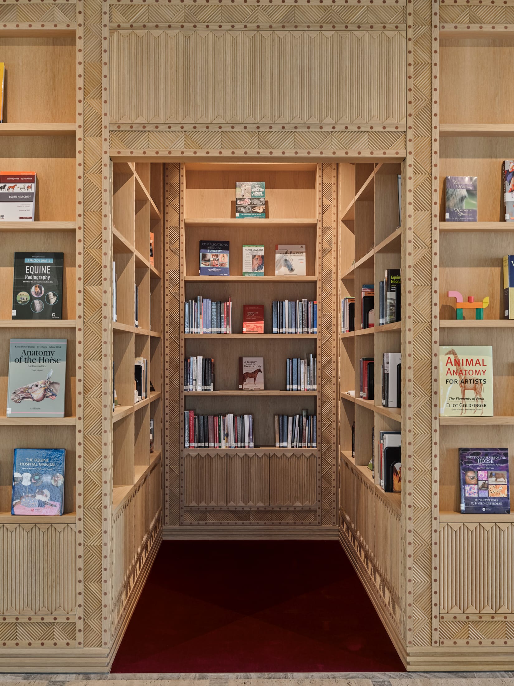 阿布扎比马术图书馆和马鞍工坊设计丨阿联酋阿布扎比丨david,nicolas-25