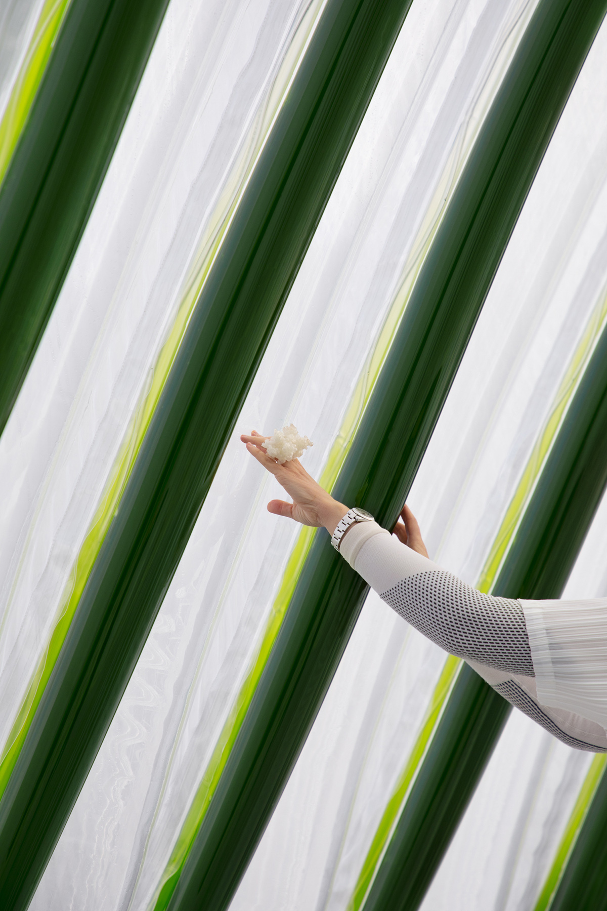 “空气泡泡”空气净化生态机丨英国格拉斯哥丨ecoLogicStudio-22