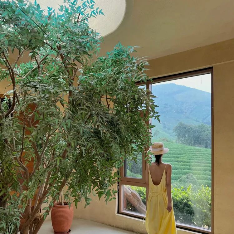 安吉观景平台及茶室丨中国浙江丨HATCH 汉齐建筑-39