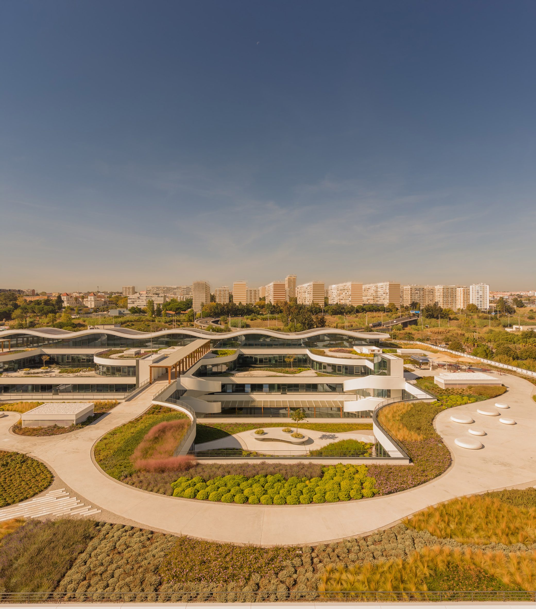 东方绿色校园丨葡萄牙里斯本丨KPF,Saraiva+Associados-12