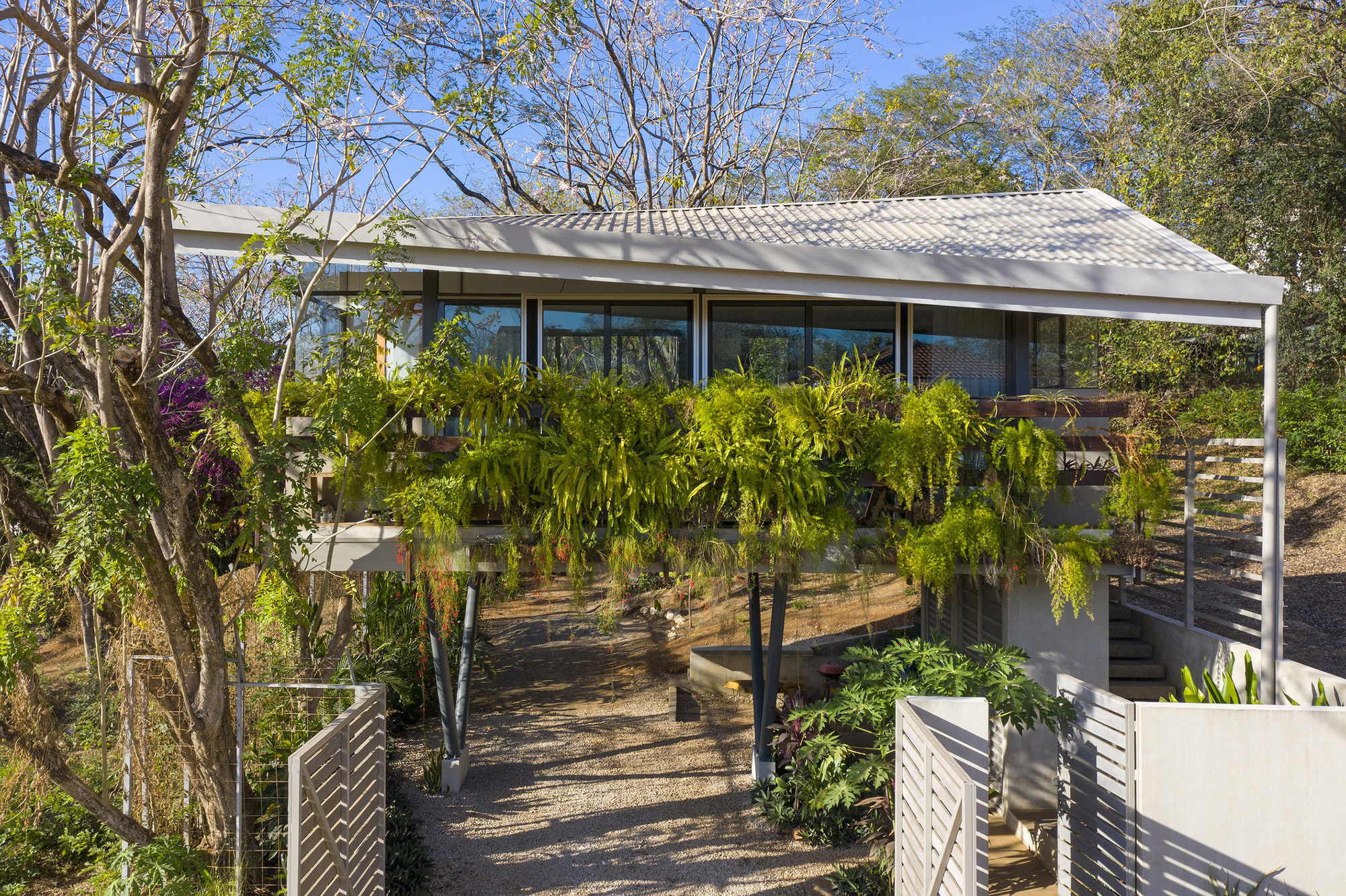 花园洋房丨哥斯达黎加丨LSD Architects-21