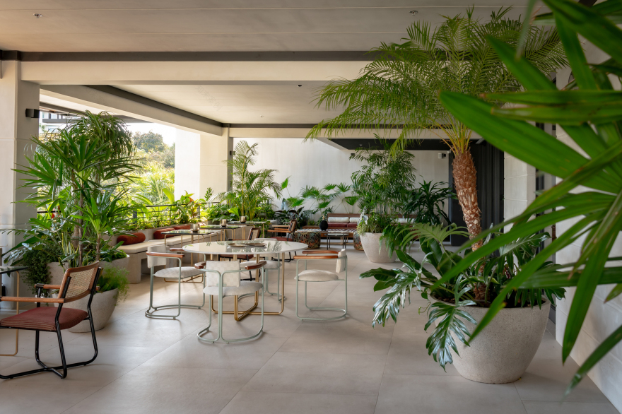 垂直绿洲 · 哥斯达黎加 San José 的 Gardenia 公寓丨Studio Saxe-43