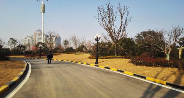 绿化设计中的地被放线手法与植物配置-19