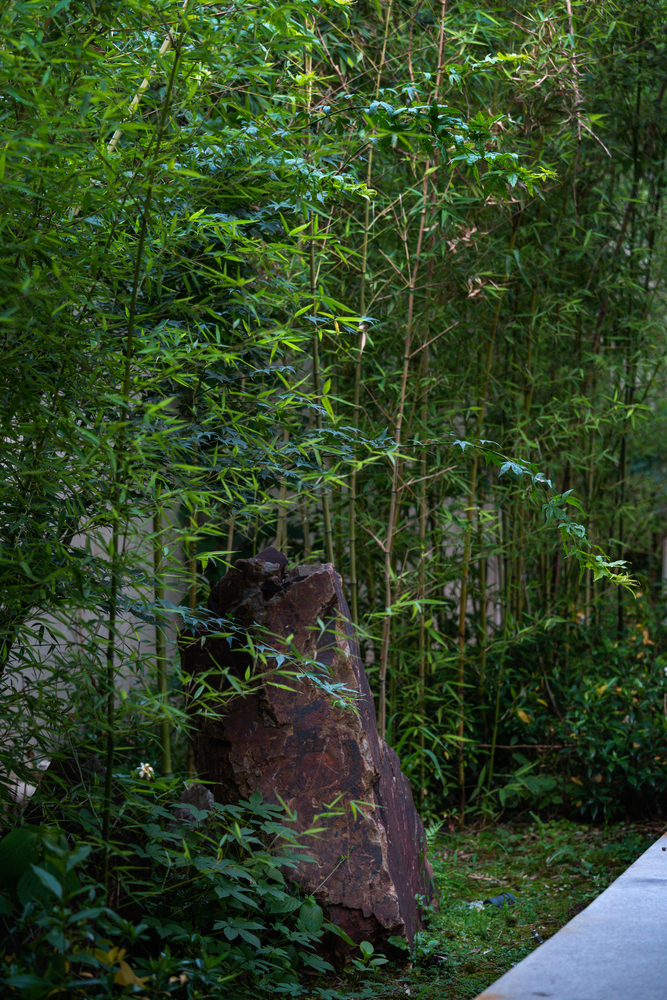 共享社区优雅 · 上海东苑二村邻里服务站与活动室设计-41