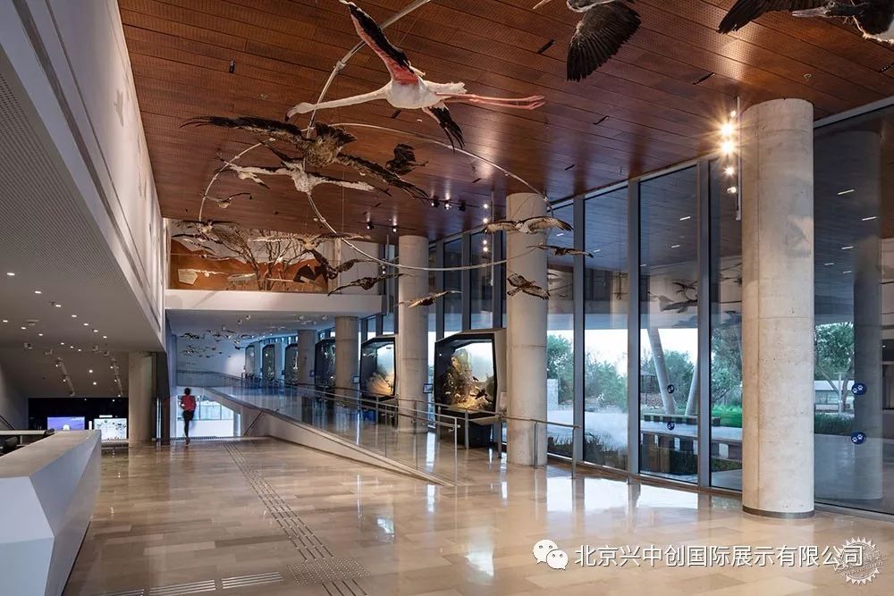 奇特的外立面中暗藏展品，这座博物馆处处充满惊喜-24