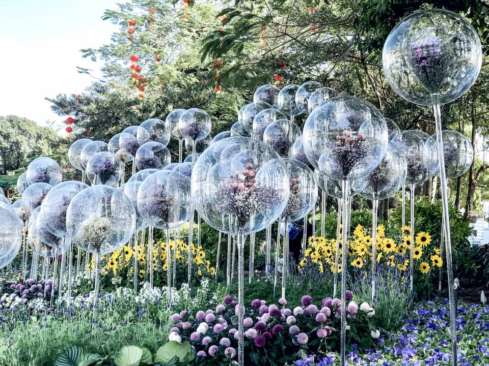 消失的花园丨中国广州丨华南理工大学建筑学院风景园林系-44